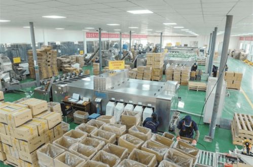 減產緣何反增收？一師阿拉爾市林果業高質量發展技術開發揭秘